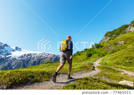 Hike in Alaska Hike in Alaska 77465015