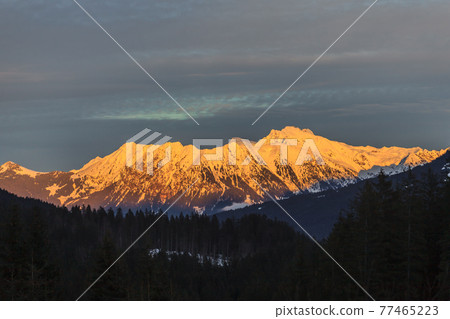 View from the Kleinwalsertal on kanzelwand and Fellhorn 77465223