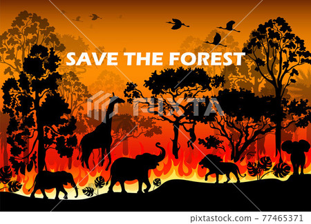 Burning forest vector Burning forest vector 77465371