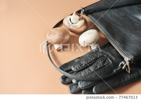 handbag and gloves made of mycelium leather, bio sustainable alternative to leather made of mushroom spores and plant fibres. mushroom textile innovative materials. eco bio-gradable vegan leather handbag and gloves made of mycelium leather, bio sustainable alternative to leather made of mushroom spores and plant fibres. mushroom textile innovative materials. eco bio-gradable vegan leather 77467013