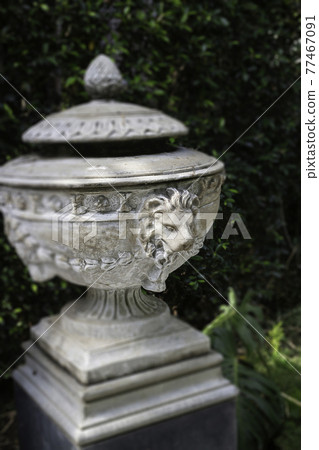 Summer green relaxation of outdoor garden 77467091
