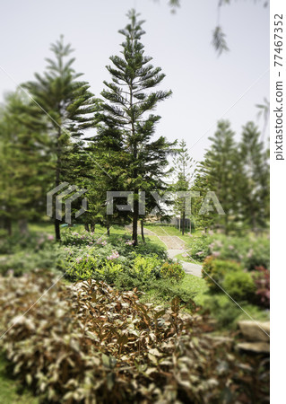 Green summer garden of resort exterior 77467352