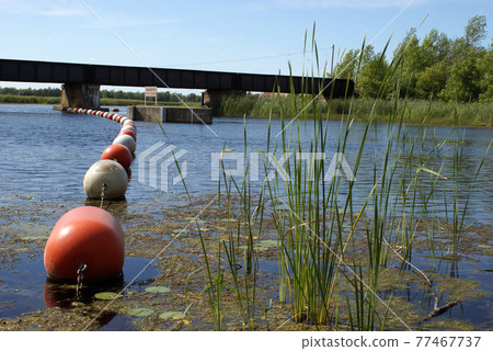 Train Bridge Over Water Train Bridge Over Water 77467737