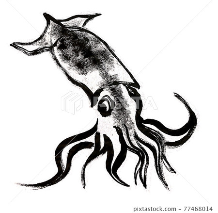 手繪魷魚sumi-e 77468014
