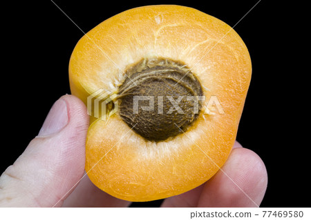 sliced ripe orange apricot 77469580