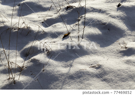 winter cold weather after the snowfall winter cold weather after the snowfall 77469852
