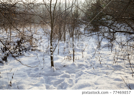 winter cold weather after the snowfall winter cold weather after the snowfall 77469857