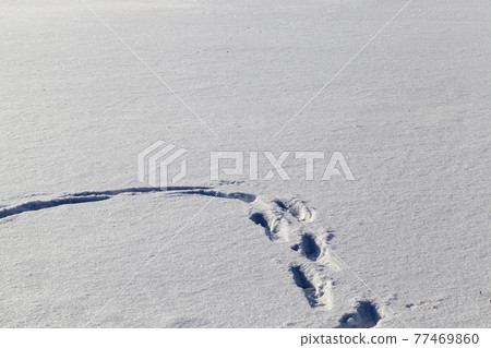 footprints and dents in the snow footprints and dents in the snow 77469860