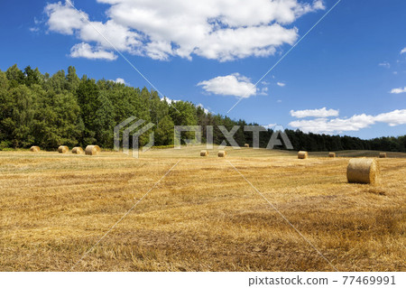 wheat straw is further used in agriculture, 77469991