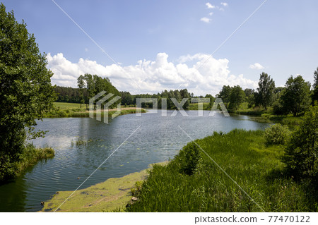 dirty water in a lake or river dirty water in a lake or river 77470122