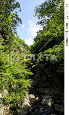 Early summer in Shosenkyo Early summer in Shosenkyo 77470231
