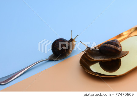Two snails. A snail on a fork and on a metal platter plate. Copy space for text 77470609