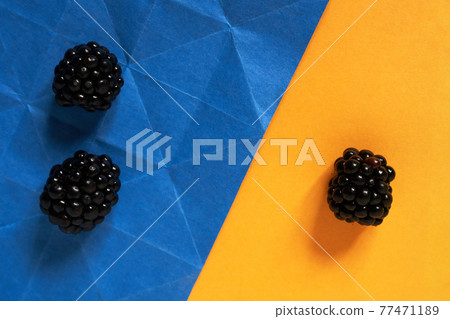 Three blackberries on a blue and yellow paper background, one vs two 77471189