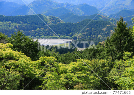 View of Oyunohara Otorii from the fresh green Kumano Kodo, Wakayama Prefecture, Japan 77471665