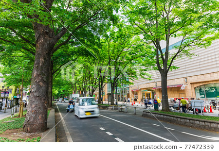 Keyakinamiki Dori, Fuchu City, Tokyo Keyakinamiki Dori, Fuchu City, Tokyo 77472339