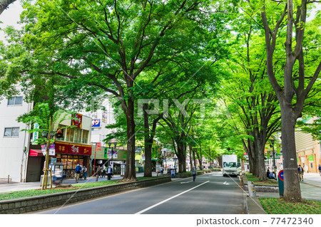 Keyakinamiki Dori, Fuchu City, Tokyo 77472340