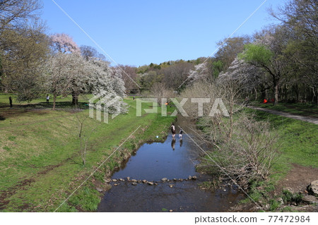 溫水野川之泉 溫水野川之泉 77472984