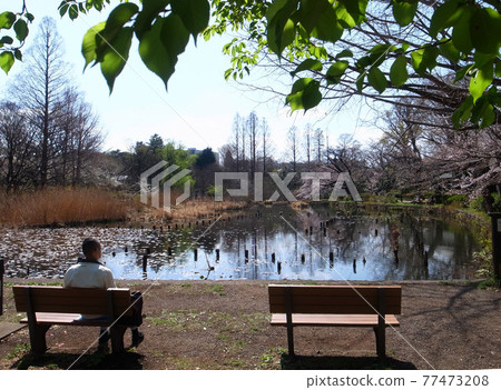 Zenfukuji Park 77473208