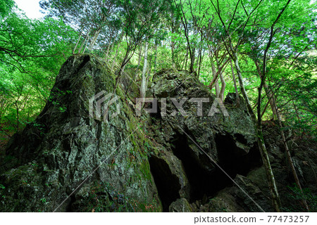 (埼玉縣) 泉堀山, 沿河峽谷 (埼玉縣) 泉堀山, 沿河峽谷 77473257