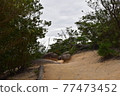 Earth-colored mountain trail 77473452