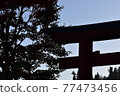 Shadows and silhouettes of trees and torii 77473456