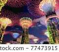 晚上新加坡植物園 77473915