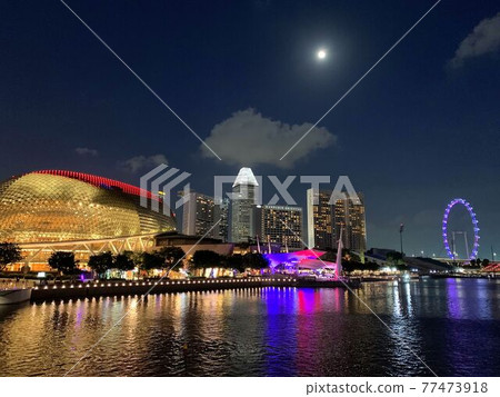 美麗的新加坡摩天觀景輪,夜景 美麗的新加坡摩天觀景輪,夜景 77473918