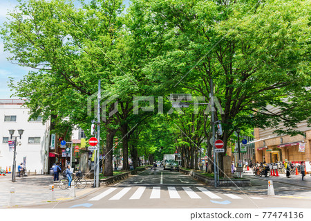 Keyakinamiki Dori, Fuchu City, Tokyo Keyakinamiki Dori, Fuchu City, Tokyo 77474136
