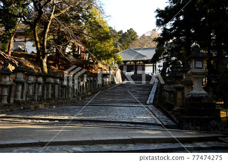通往東大寺二月堂的石階 通往東大寺二月堂的石階 77474275