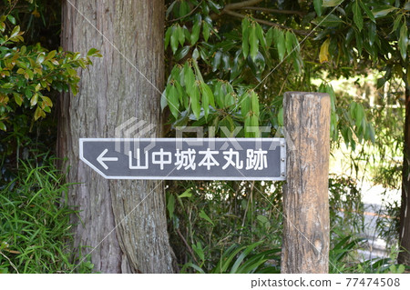 Yamanaka Castle and greenery Yamanaka Castle and greenery 77474508