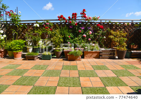 屋頂陽台DIY瓷磚,植物園藝生活 屋頂陽台DIY瓷磚,植物園藝生活 77474640