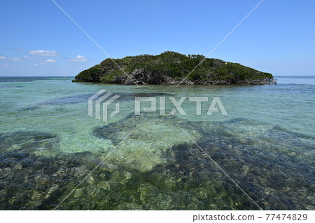 Soldier Key in Biscayne National Park off Miami, Florida. Soldier Key in Biscayne National Park off Miami, Florida. 77474829