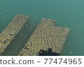 Ruins sunk in the lake 77474965