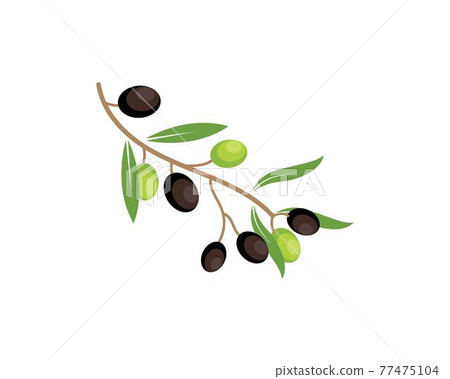 olive logo icon vector illustration 77475104