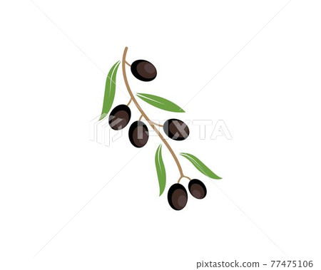 olive logo icon vector illustration 77475106