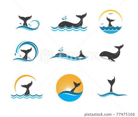 whale tail icon vector illustration design whale tail icon vector illustration design 77475108