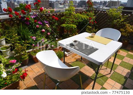 一邊喝咖啡,一邊在園藝花園裡用桌椅欣賞盛開的玫瑰,度過輕鬆的時光 一邊喝咖啡,一邊在園藝花園裡用桌椅欣賞盛開的玫瑰,度過輕鬆的時光 77475130
