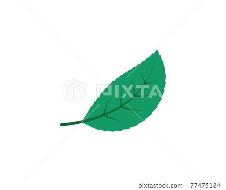 green leaf ecology nature element vector icon of go green 77475184