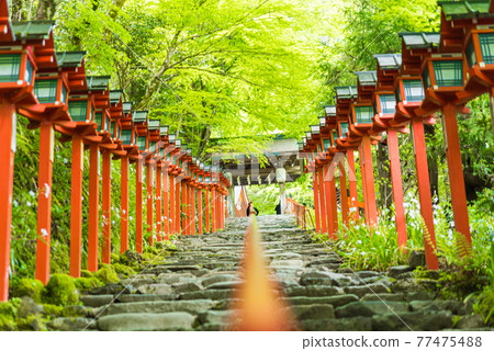 Kibune神社的台階 Kibune神社的台階 77475488