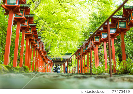 Kibune神社的台階 Kibune神社的台階 77475489