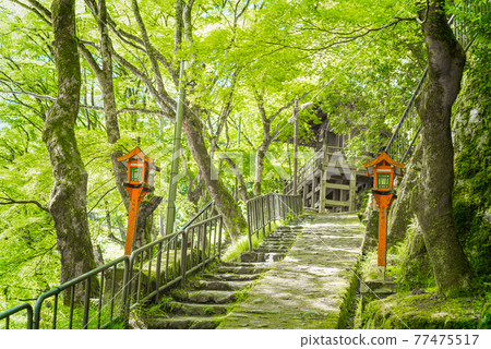 愛宕念佛寺坡 77475517