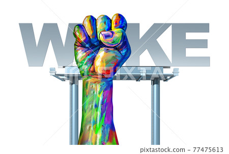 Woke Justice 77475613