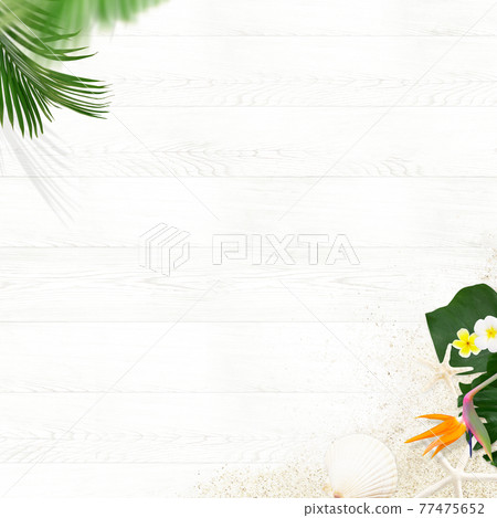 Tropical white wood background-there are multiple variations 77475652