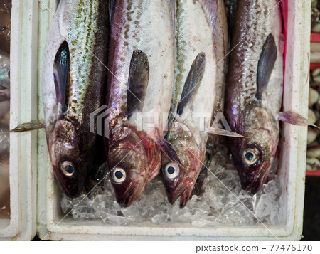 fish, seafood, cooking ingredients, food 77476170