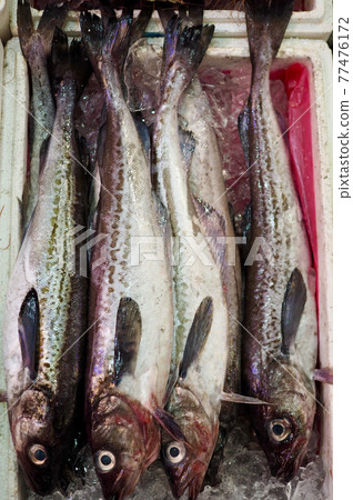 fish, seafood, cooking ingredients, food 77476172