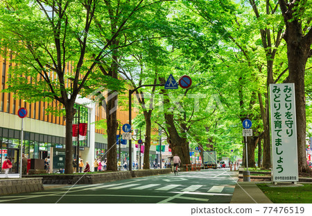 東京府中市櫸樹並路 77476519