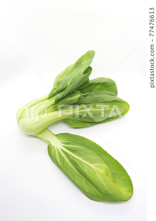 白菜，白菜，單品，白底，白底 77476613