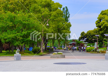 水本公園 77476886