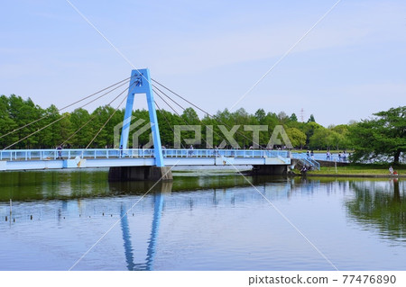 Let's take a walk at Mizumoto Park, the largest in Tokyo Let's take a walk at Mizumoto Park, the largest in Tokyo 77476890