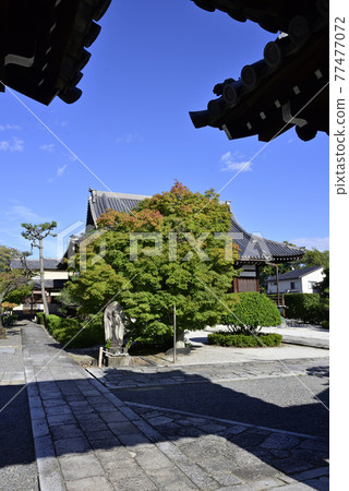 Amidaji主殿 77477072